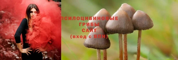 гашиш Абаза