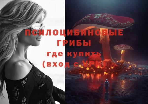 метадон Нея