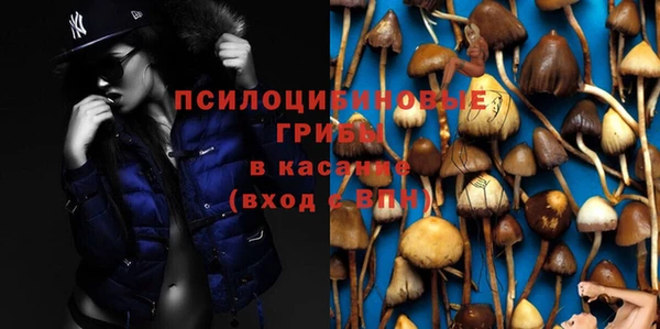 ГАЛЛЮЦИНОГЕННЫЕ ГРИБЫ Абдулино